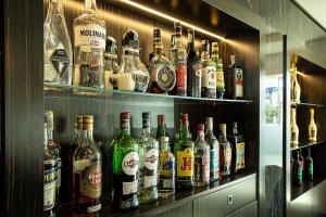 best western jfk hotel