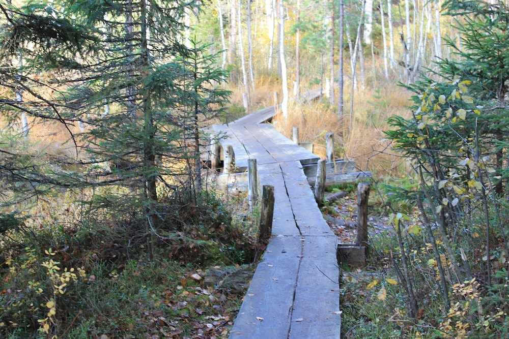 hotel nuuksio conferences and events