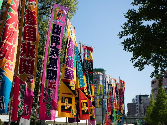 ryogoku view hotel