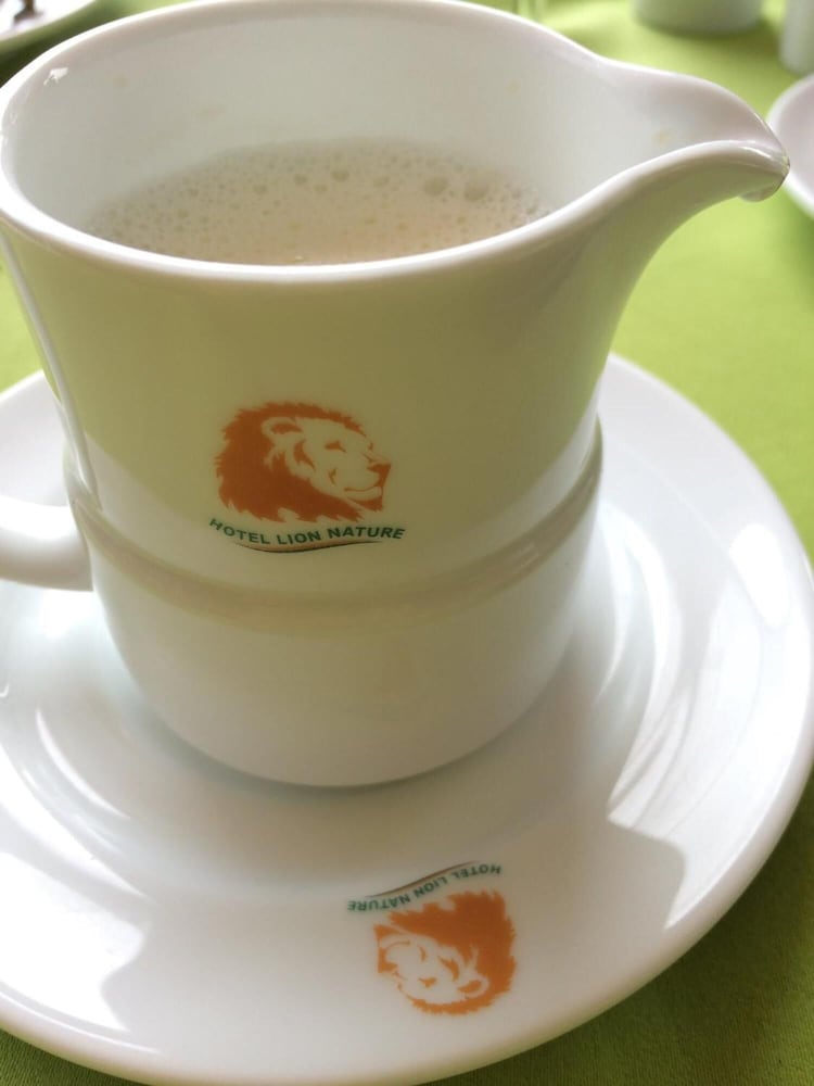 hotel lion inn