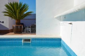 aguilas5 sevillasuites