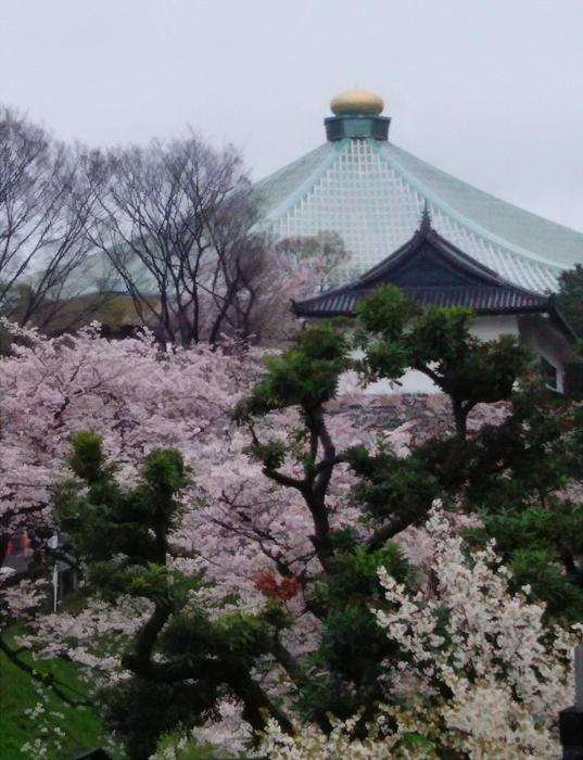 sotetsu fresa inn ochanomizu jimbocho