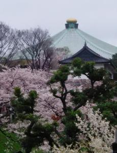sotetsu fresa inn ochanomizu jimbocho