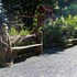 le freudeneck