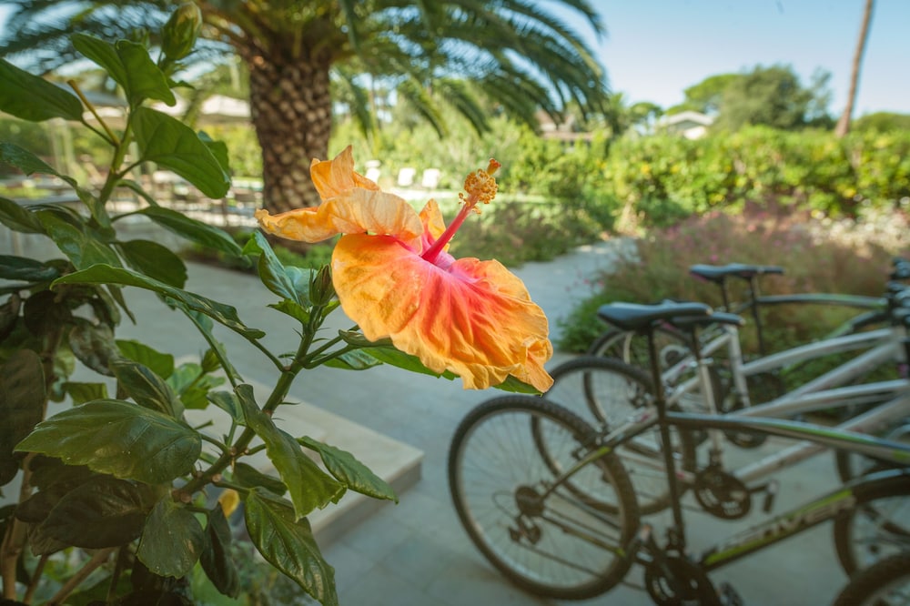 castiglione della pescaia