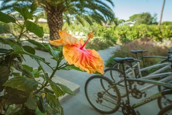 castiglione della pescaia