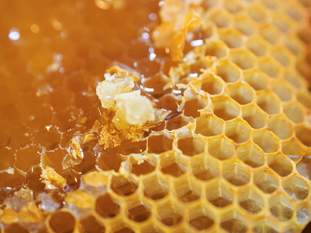 greet hotel marseille provence aeroport