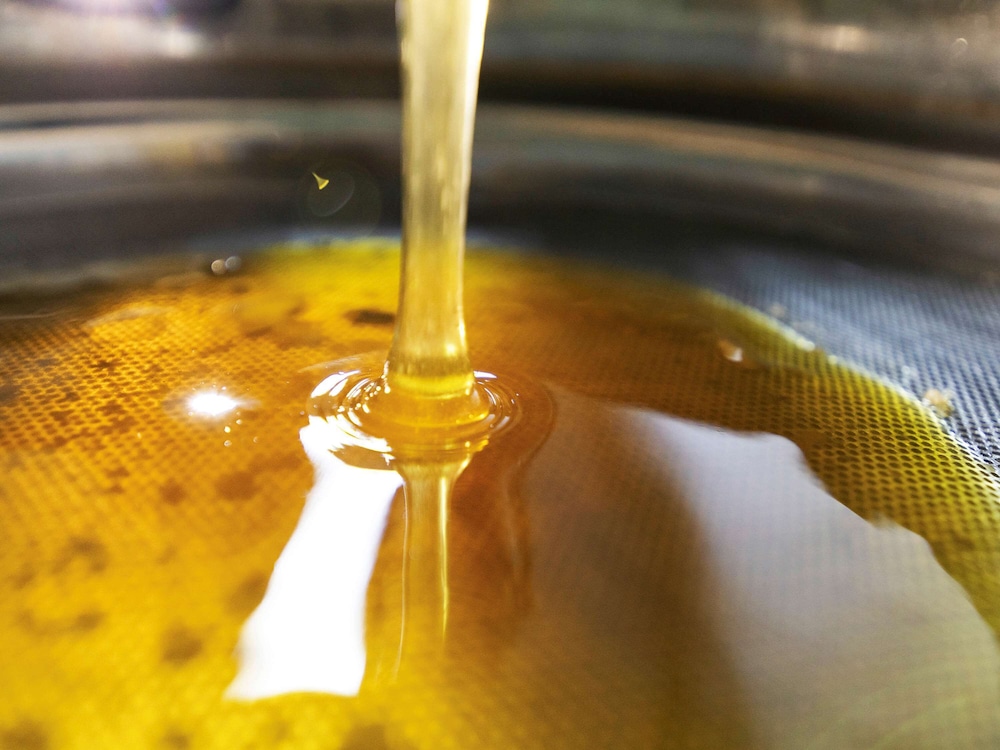 greet hotel marseille provence aeroport