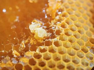 greet hotel marseille provence aeroport