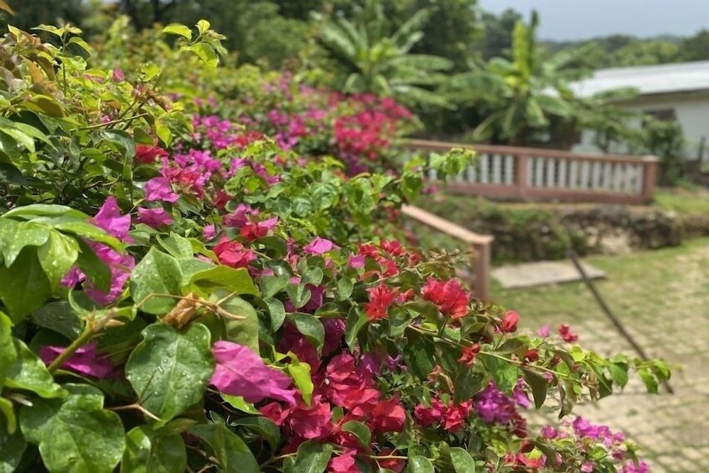 yanceylargo estate newly renovated 3 br villa w gorgeous mountain views 3 bedroom villa by redawning