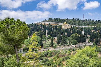alegra boutique hotel