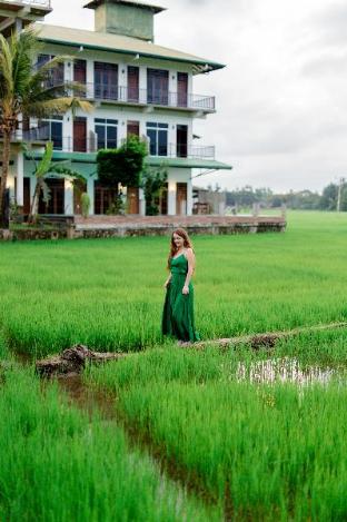 serene park hotel