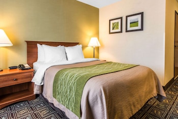 comfort inn
