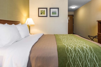 comfort inn