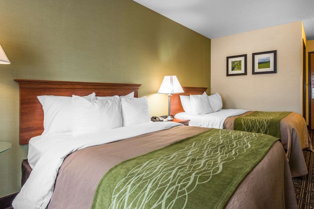 comfort inn