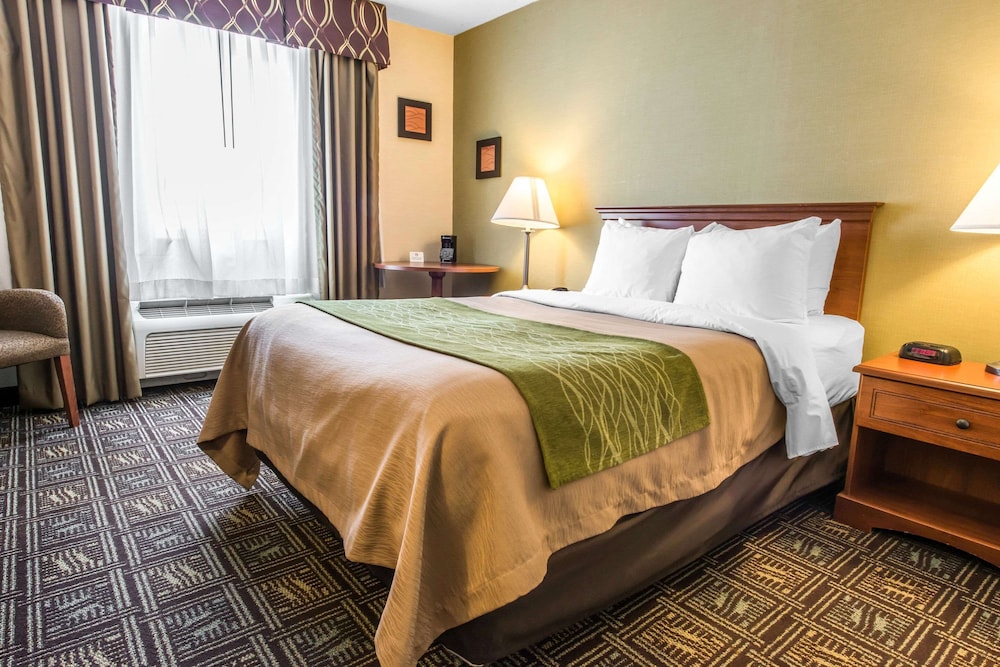 comfort inn