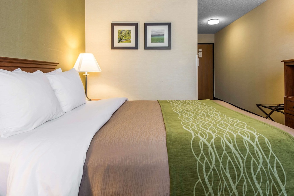 comfort inn