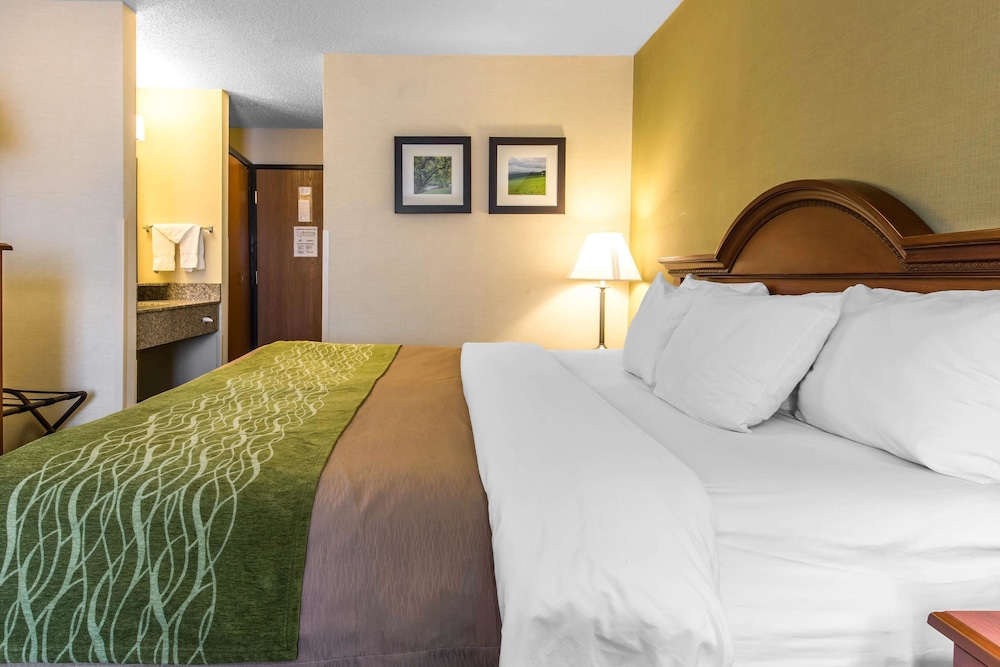 comfort inn