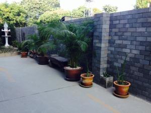 vanilla residence chiangmai