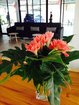 vanilla residence chiangmai