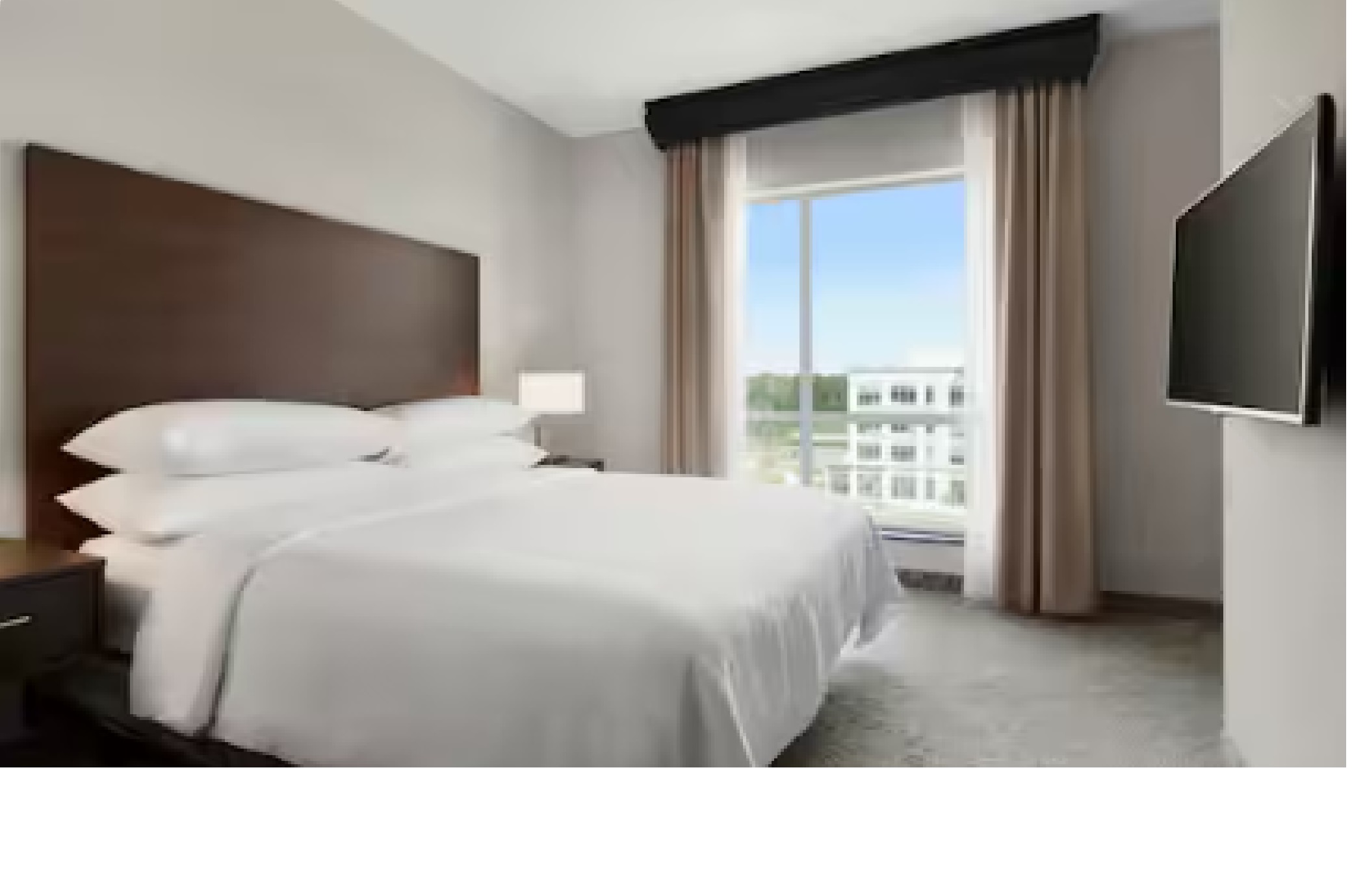 embassy suites by hilton charlotte ayrsley