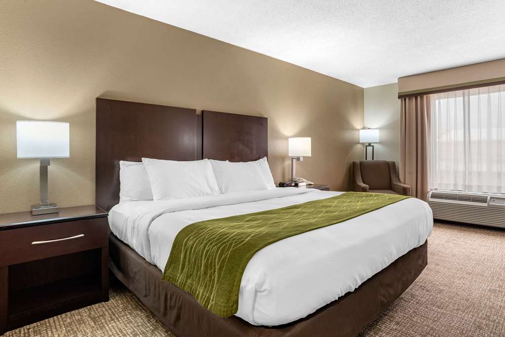 comfort inn pearl jackson
