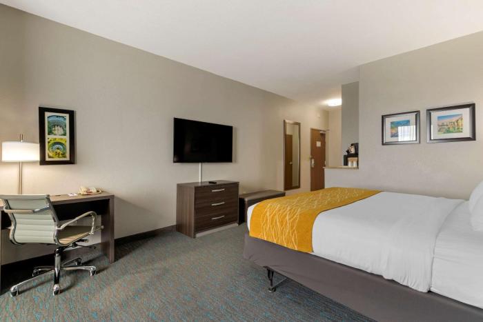 comfort inn and suites selma near randolph afb