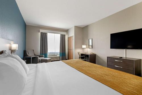 comfort inn and suites selma near randolph afb
