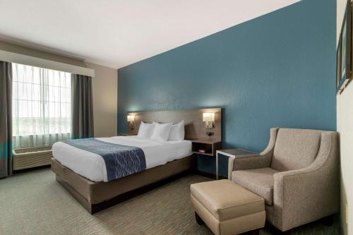 comfort inn and suites selma near randolph afb