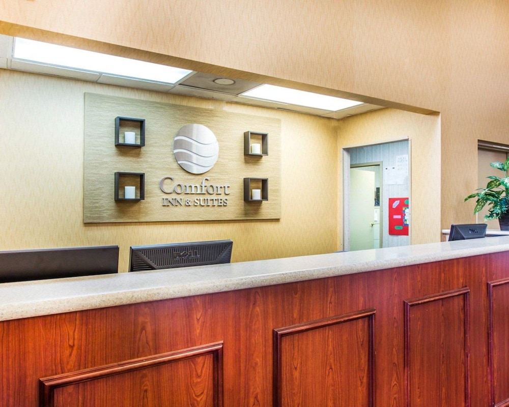 comfort inn and suites at stone mountain
