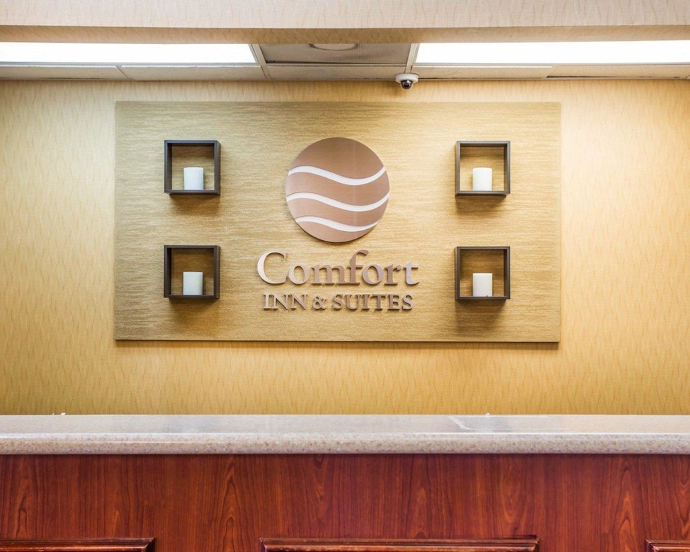 comfort inn and suites at stone mountain
