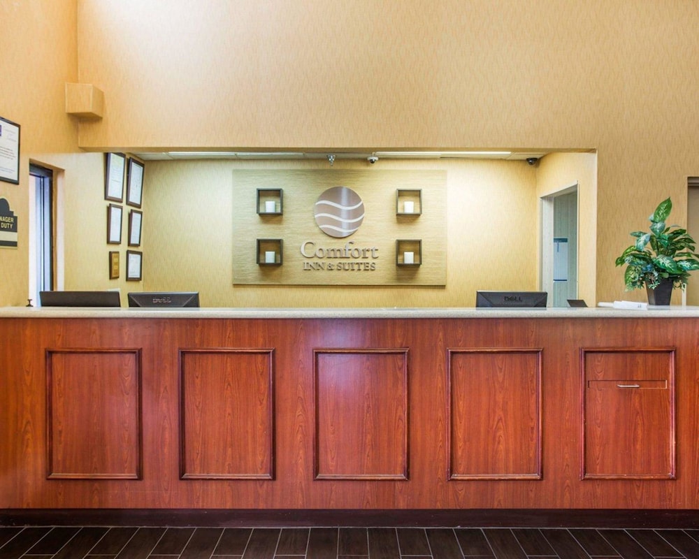 comfort inn and suites at stone mountain
