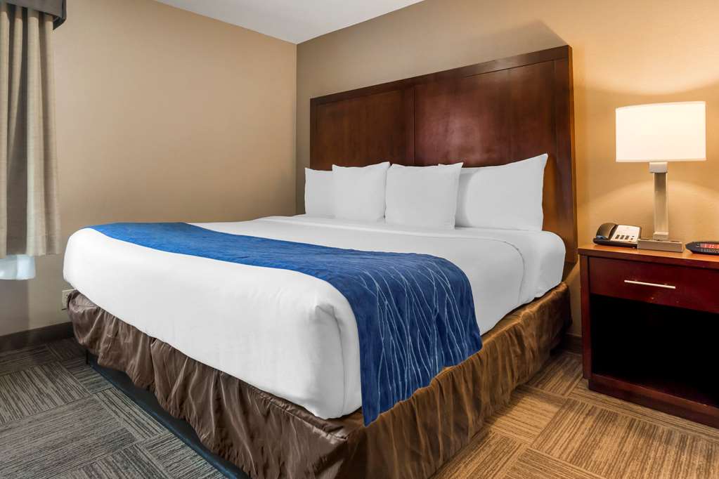comfort inn and suites sea tac airport