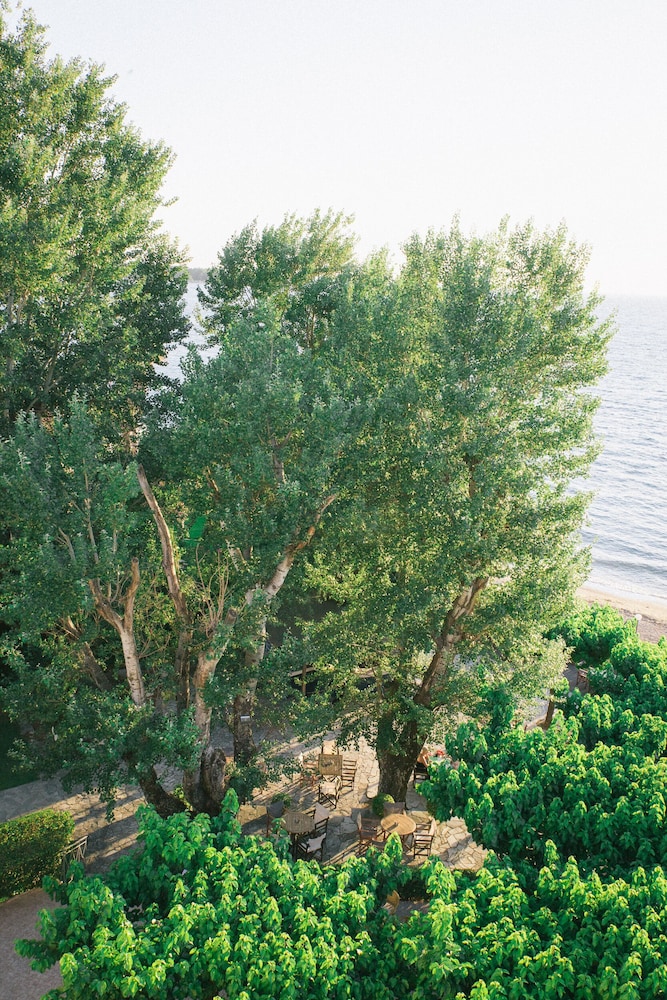 patras