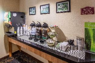 spark by hilton san antonio northwest near six flags