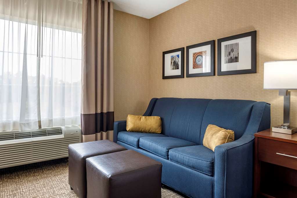comfort inn meadowlands