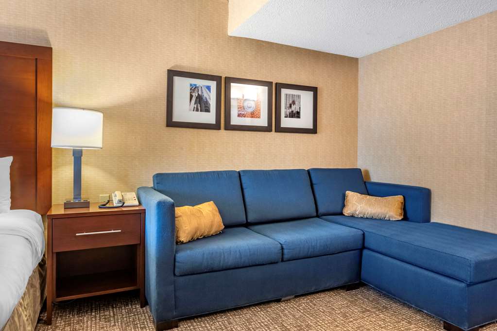 comfort inn meadowlands