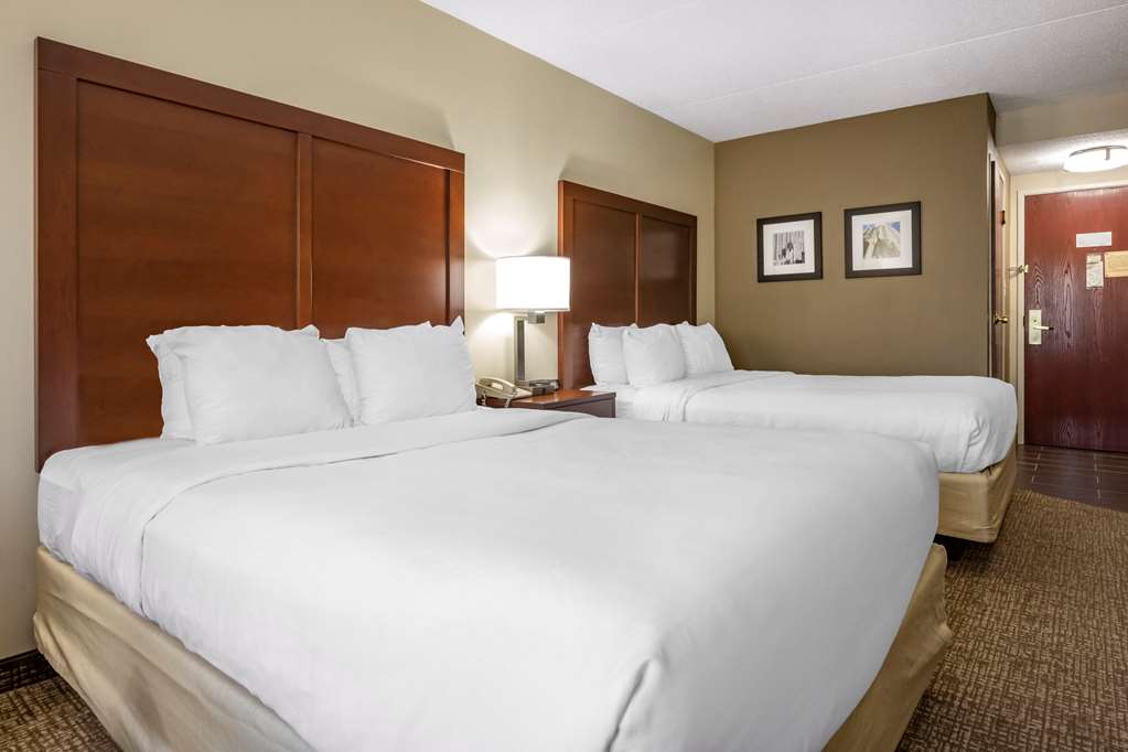 comfort inn meadowlands