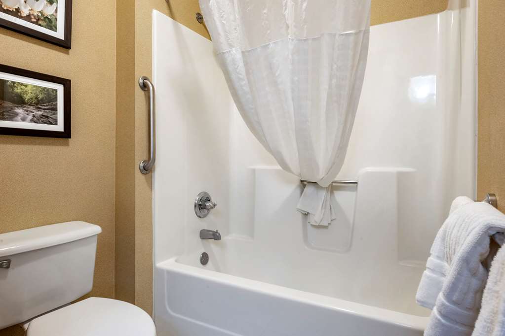 comfort inn meadowlands