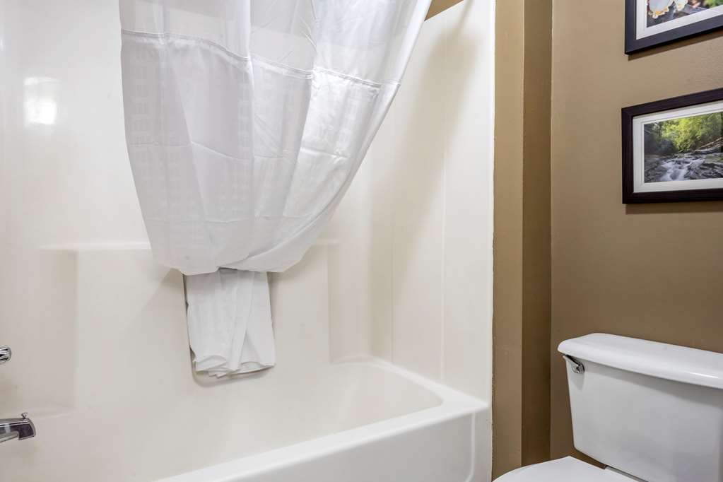 comfort inn meadowlands