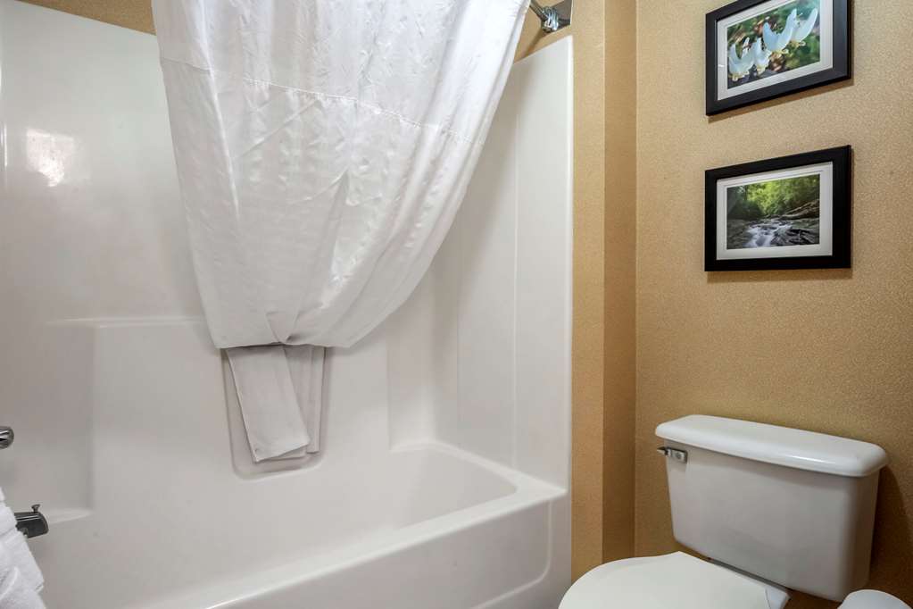 comfort inn meadowlands