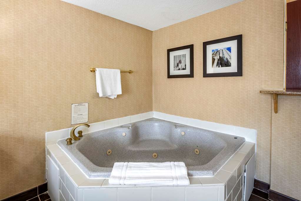 comfort inn meadowlands