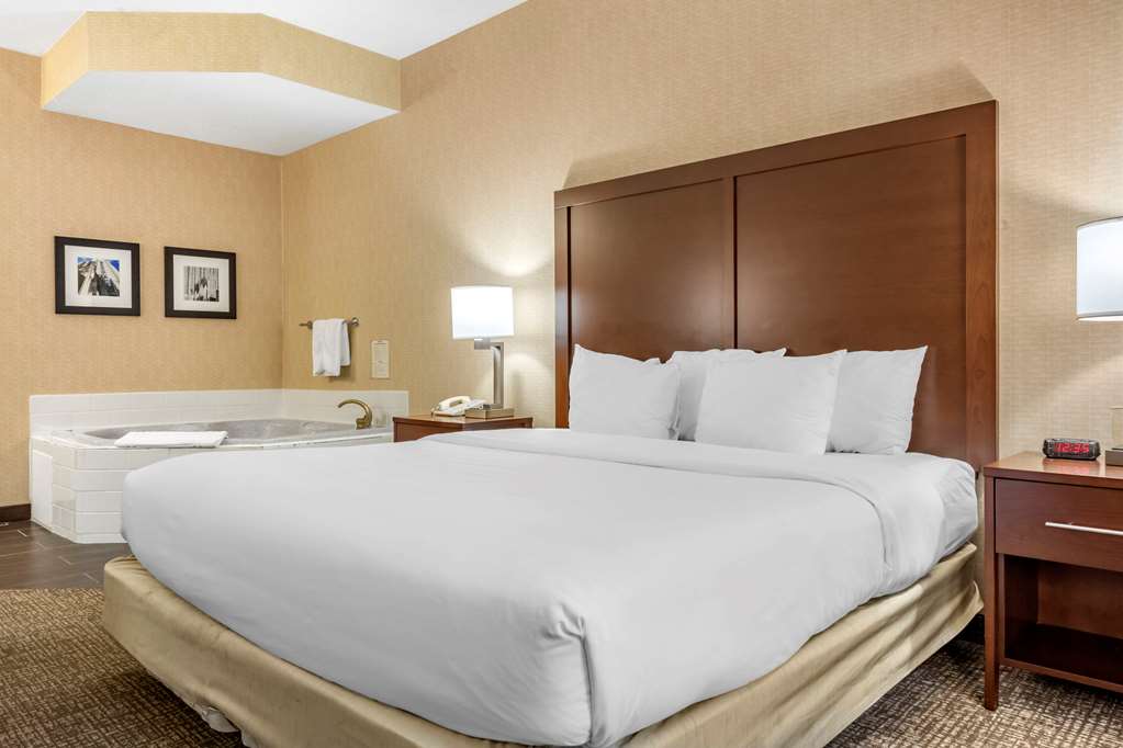 comfort inn meadowlands