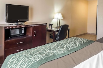 econo lodge inn and suites