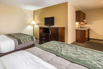 econo lodge inn and suites