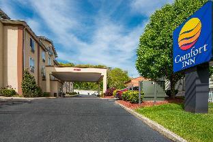 comfort inn naugatuck area