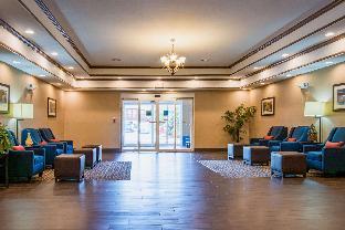 comfort inn naugatuck area