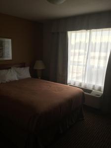 foxwood inn and suites