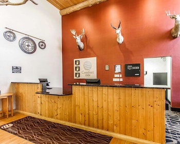comfort inn owatonna near medical center