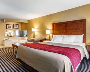 comfort inn owatonna near medical center